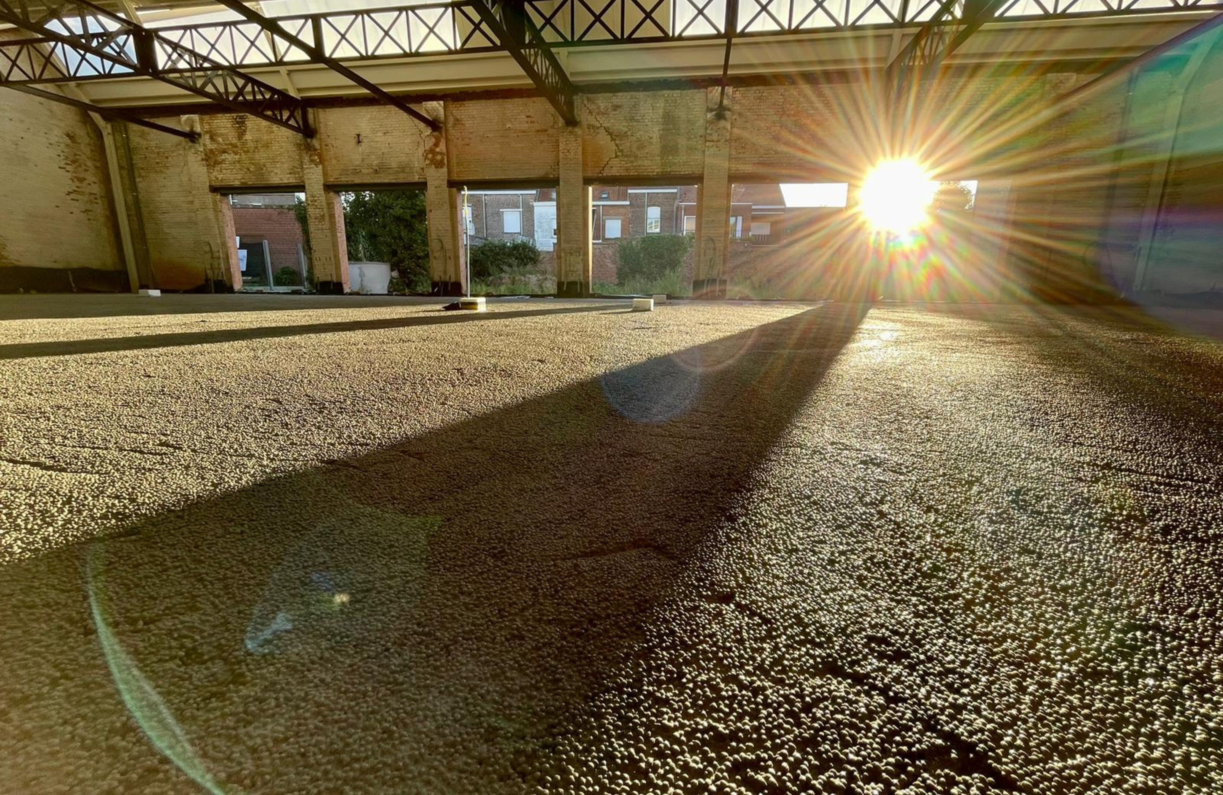 Renovatie oud pakhuis Kortrijk Silver
